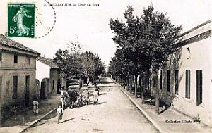 2564- Douaouda - Grande Rue
